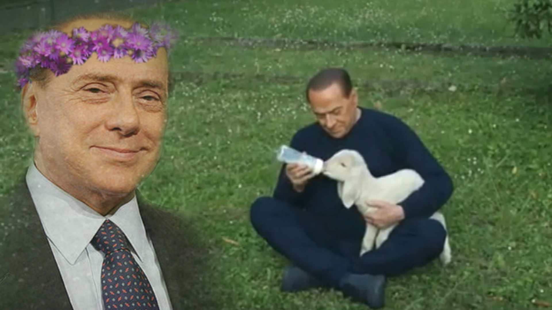 Berlusconi peace love