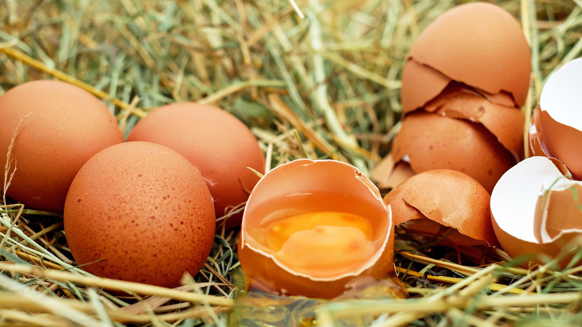 cracked-egg-yolk-eggs-128885