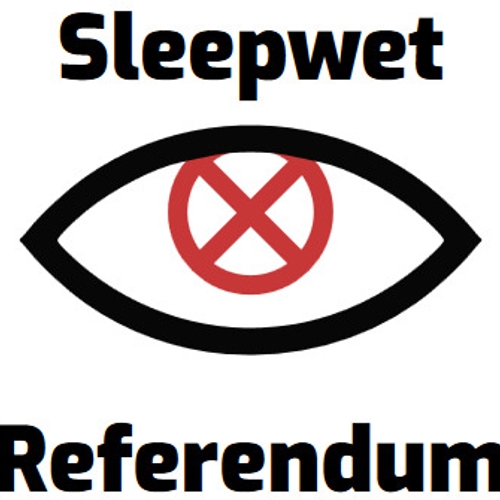 Komt er een referendum over de Sleepwet?