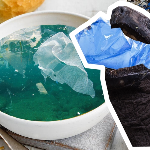 De strijd tegen 'plastic soup'