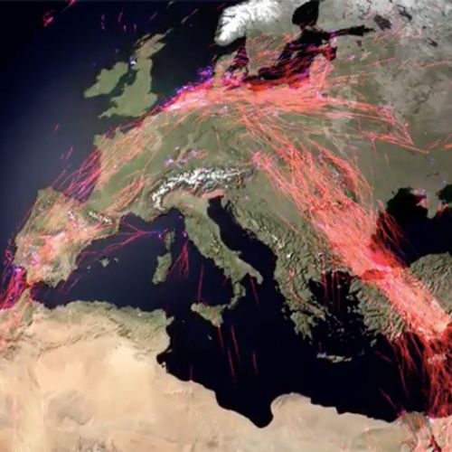 Afbeelding van Hoe dieren wereldwijd migreren – in éen unieke video